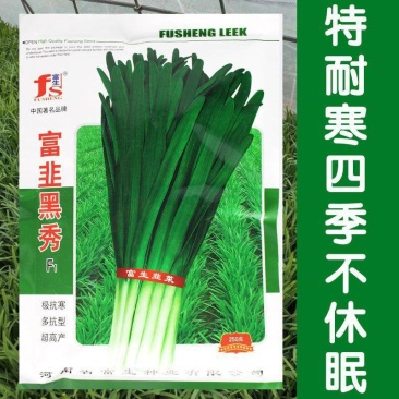 富韭黑秀韭菜种子抗寒性强抗病宽叶韭菜种籽深绿色叶片黑苗韭
