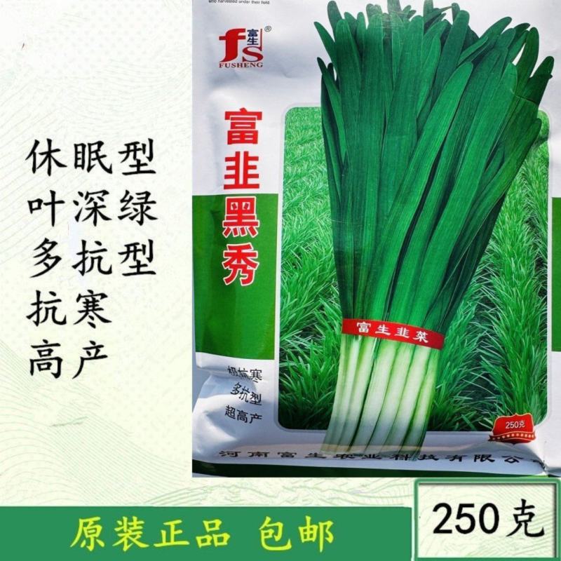 富韭黑秀韭菜种子抗寒性强抗病宽叶韭菜种籽深绿色叶片黑苗韭