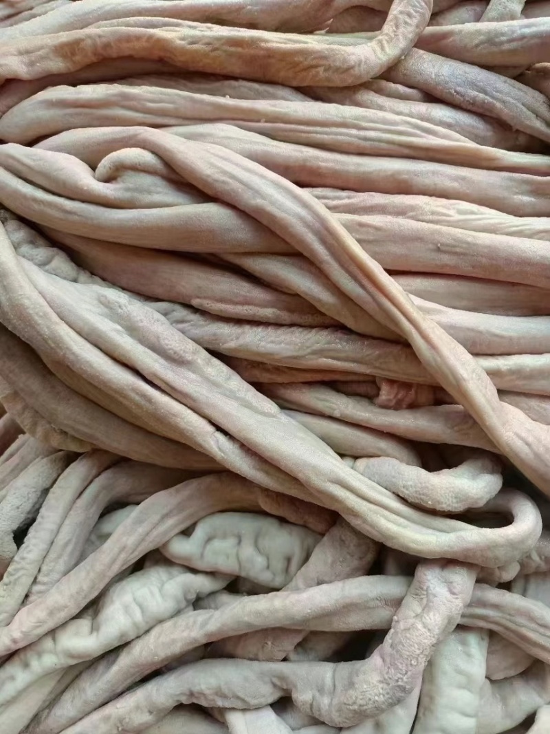 五成熟牛小肠，圆管带油，厂家直销