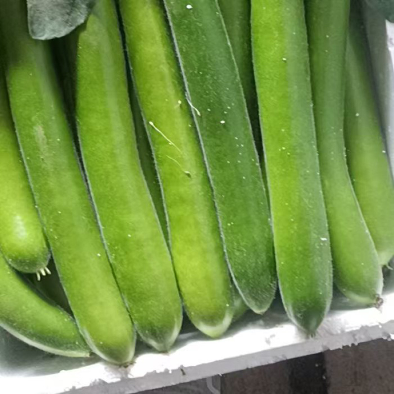 长瓜