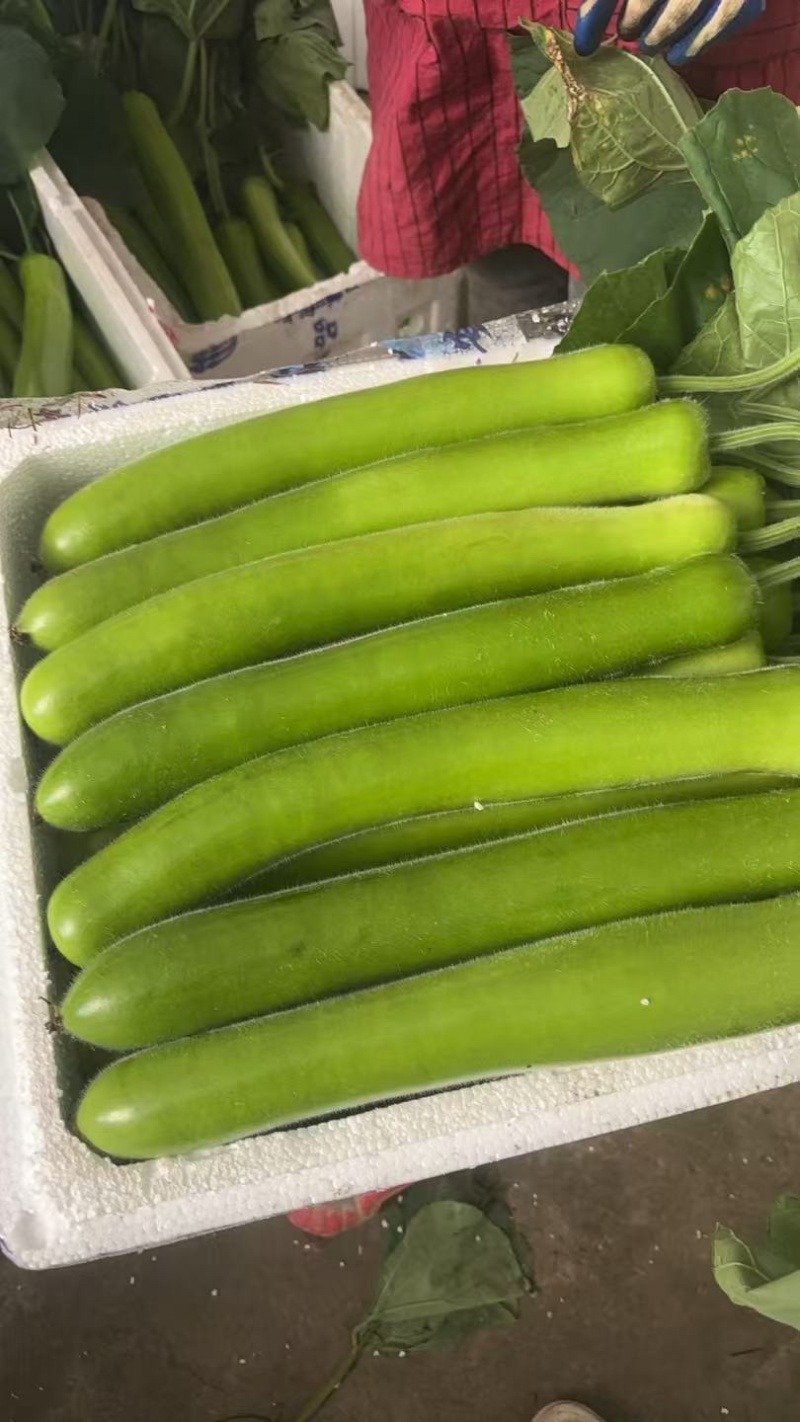 长瓜