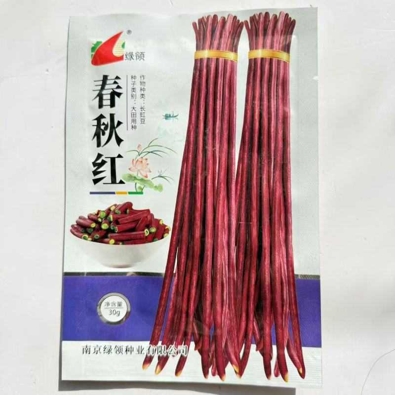 绿领春秋红豇豆种子早中熟耐热耐寒荚色深紫红色长豆角种子豆