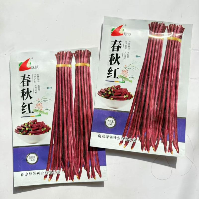 绿领春秋红豇豆种子早中熟耐热耐寒荚色深紫红色长豆角种子豆