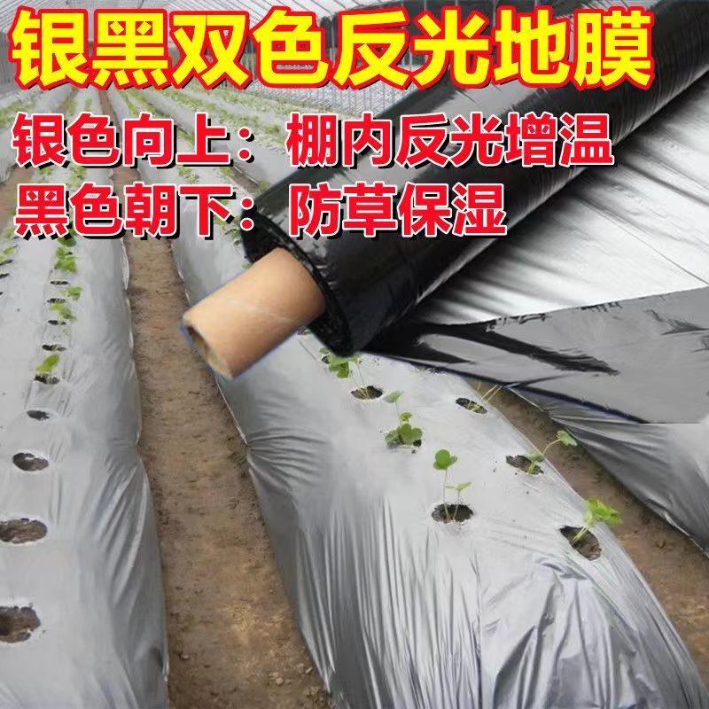 农膜地膜银黑双色反光地膜银灰地膜保温保湿防草反光地膜