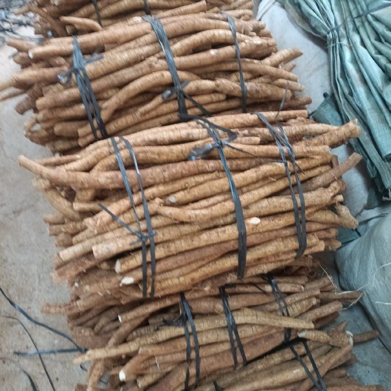 小叶牛