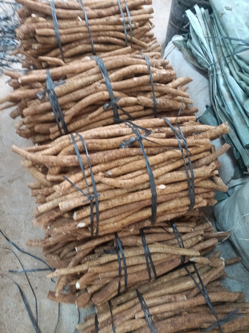 小叶牛
