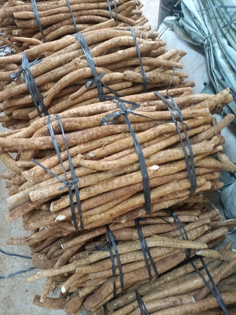 小叶牛