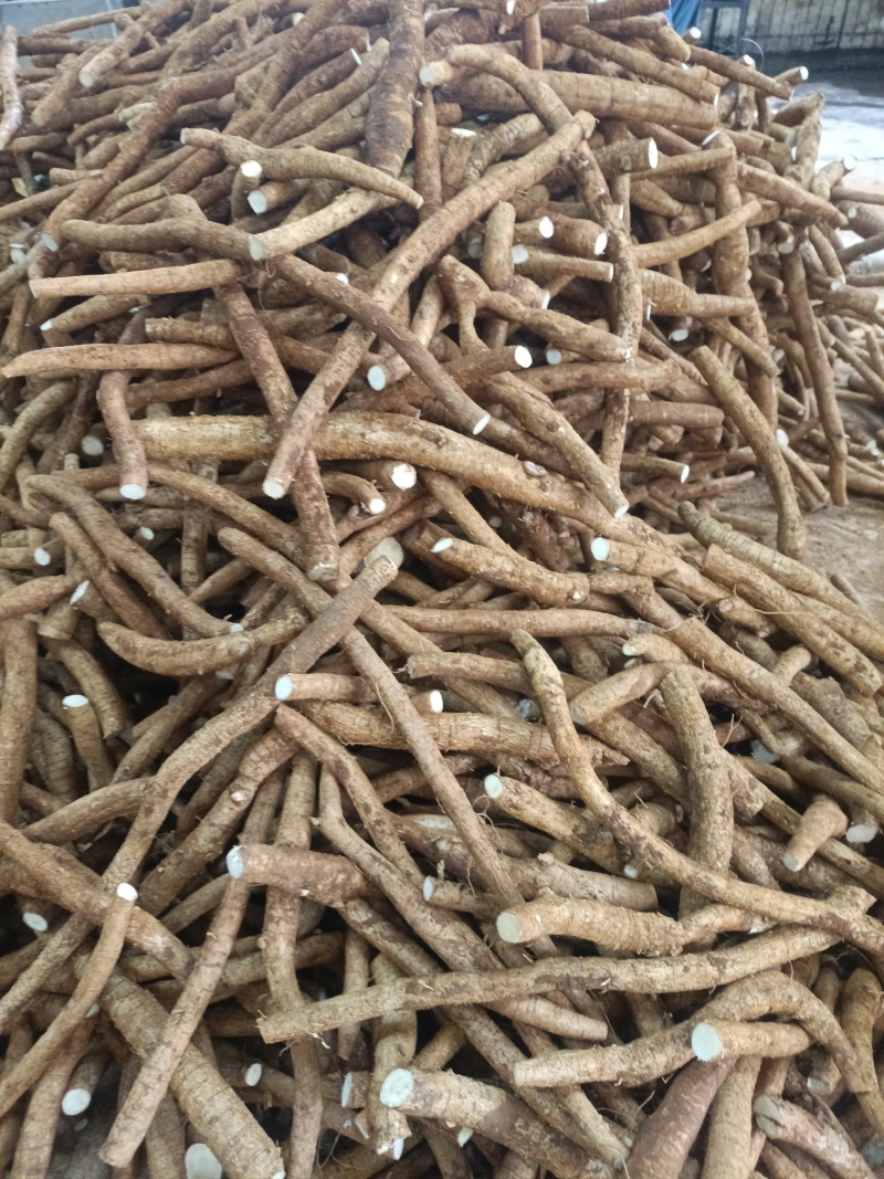 小叶牛
