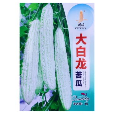 大白龙苦瓜种子白苦瓜种子耐热抗病连续座果能力强