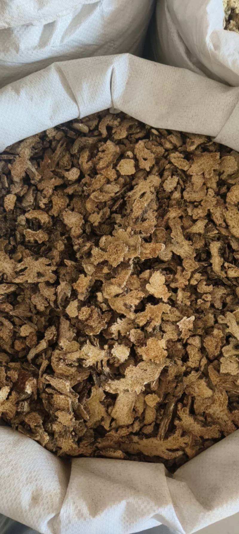 苍术内蒙货统货祥泰药材栈中药材批发零售实物拍摄量多