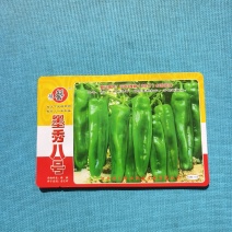 墨秀八号牛角椒大果型大膨果速度快上部果不易变短耐热耐寒