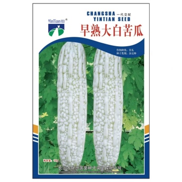 早熟大白苦瓜种子长条圆筒形乳白色脆嫩略苦耐热耐湿