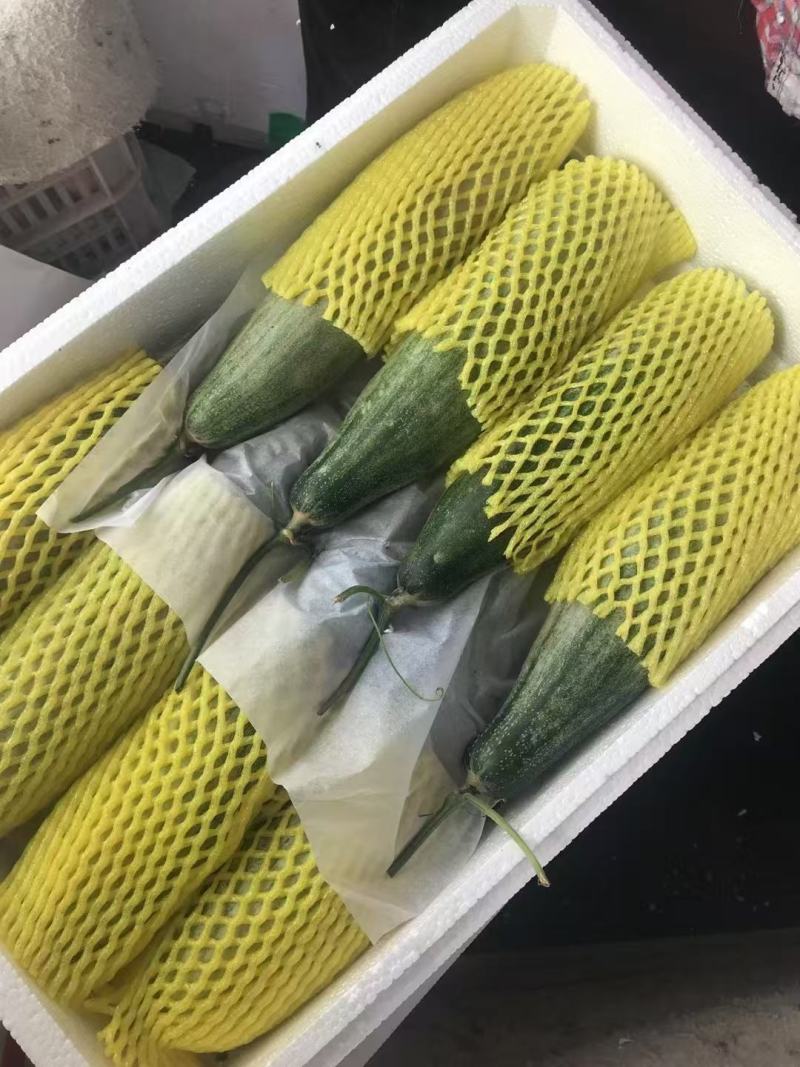 羊角蜜甜瓜蜜园十八甜瓜山东产区大量有货包装小工一条龙服务