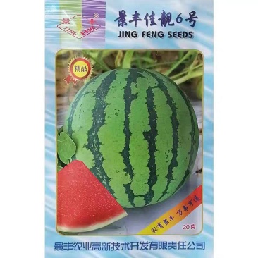 景丰佳靓6号西瓜种子早熟大红瓤甜脆美都美佳西瓜种子