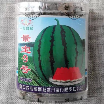 景宝9号西瓜种子中熟大果型大红果肉含糖量高皮薄耐裂