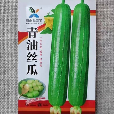 青油丝瓜种子短棒绿油亮圆筒形肉厚味浓