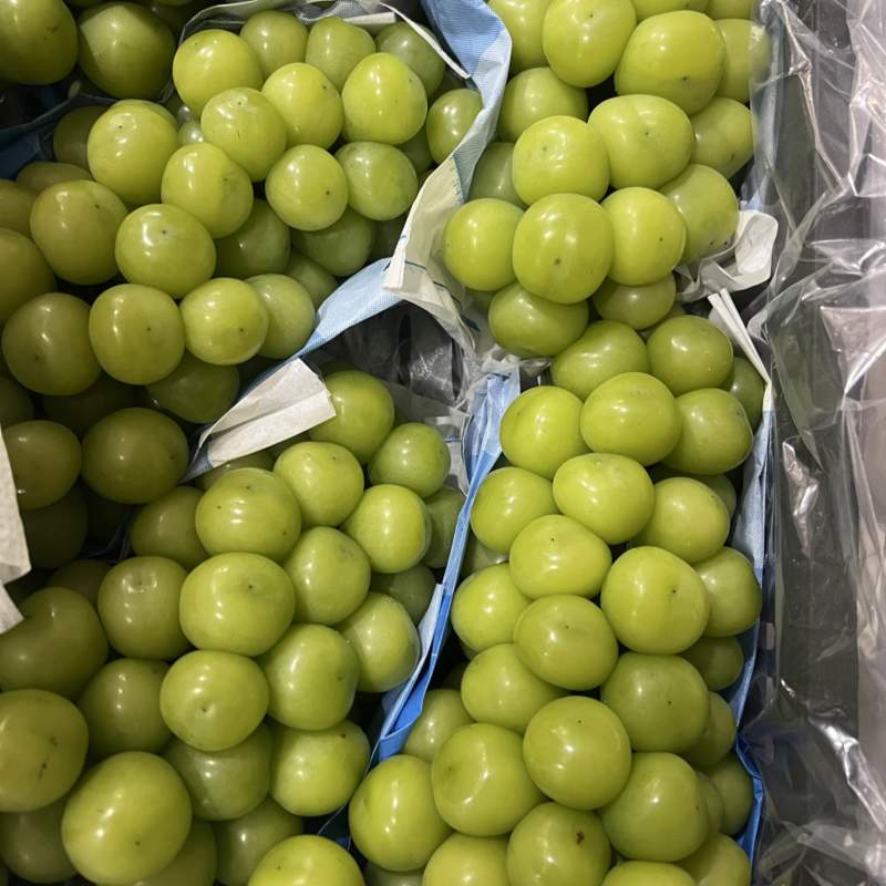 阳光玫瑰葡萄