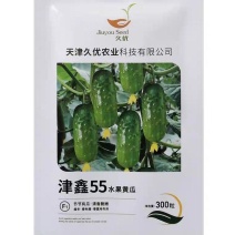 津鑫55水果黄瓜种子强雌耐低温清香脆嫩圆润饱满