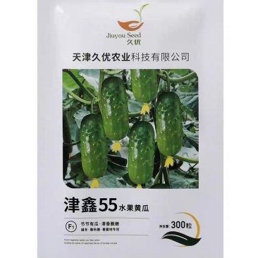 津鑫55水果黄瓜种子强雌耐低温清香脆嫩圆润饱满