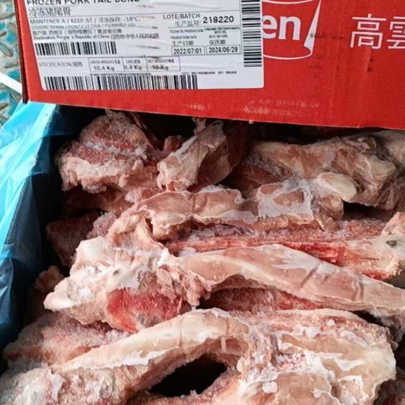 猪尾骨