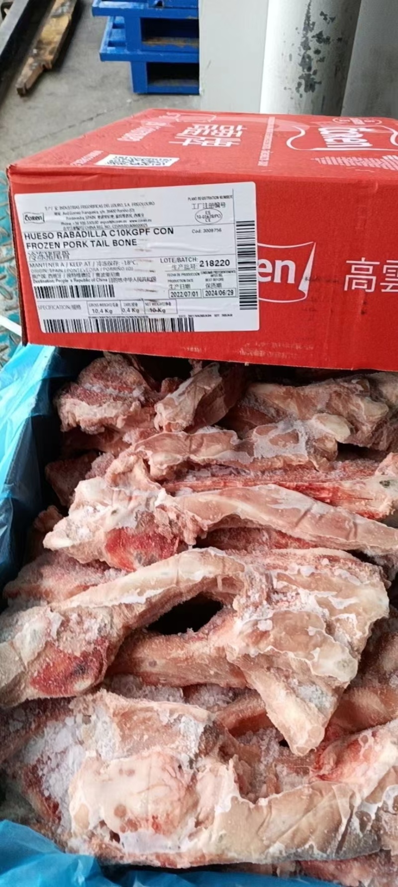 猪尾骨