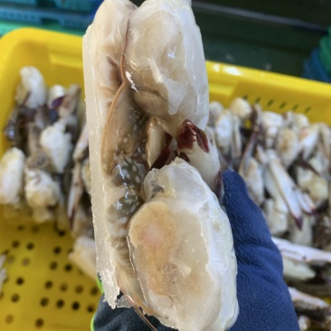辽宁东港当地蟹出口标准梭子蟹切蟹蟹块
