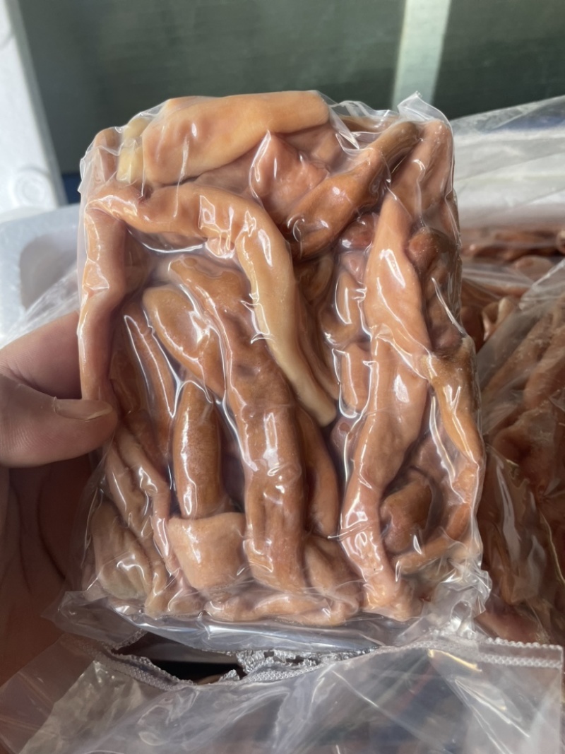 海肠、海肠捞饭、海肠饺子、韭菜炒海肠