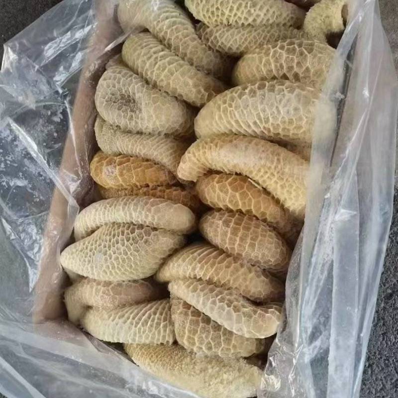 金钱肚