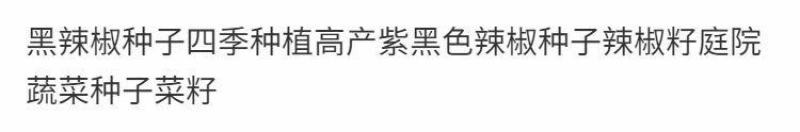 辣椒苗辣椒苗黑辣椒苗四季种植紫黑色辣椒苗庭院各类蔬果苗