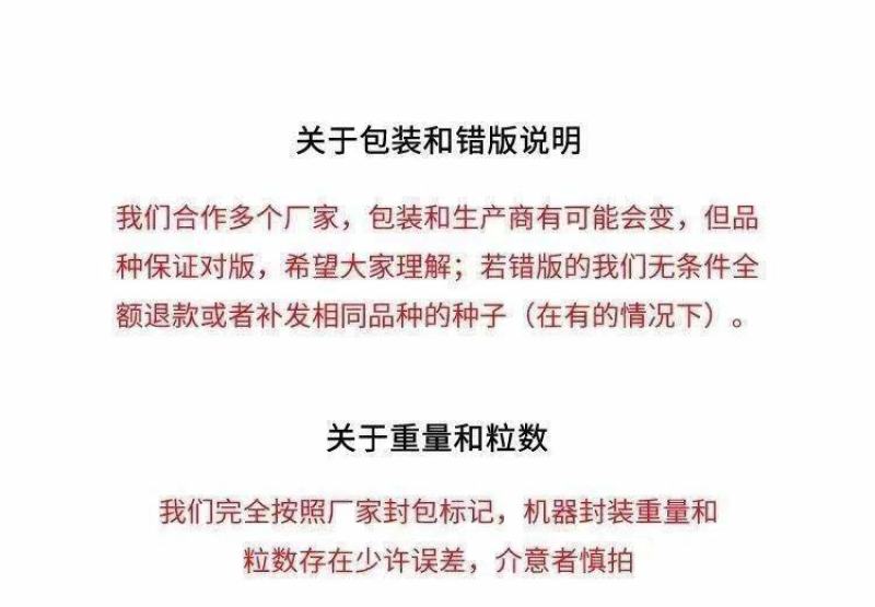 辣椒苗辣椒苗黑辣椒苗四季种植紫黑色辣椒苗庭院各类蔬果苗