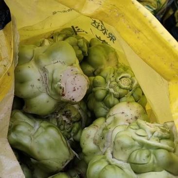 新鲜好榨菜
