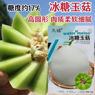 冰糖玉菇玉姑甜瓜种子高圆型糖度高蜜姑甜瓜种籽香甜如蜜