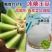 冰糖玉菇玉姑甜瓜种子高圆型糖度高蜜姑甜瓜种籽香甜如蜜