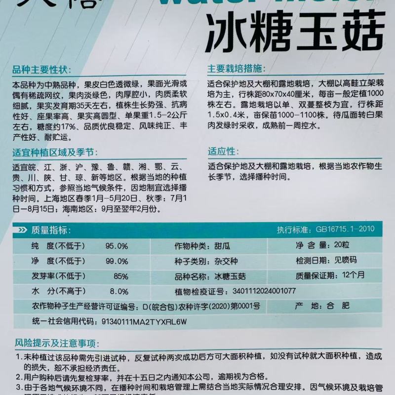 冰糖玉菇玉姑甜瓜种子高圆型糖度高蜜姑甜瓜种籽香甜如蜜