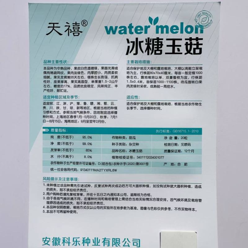 冰糖玉菇玉姑甜瓜种子高圆型糖度高蜜姑甜瓜种籽香甜如蜜