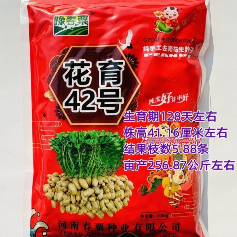花育42花生种子大粒罗汉果手工脱壳精选高产抗病薄皮高油花