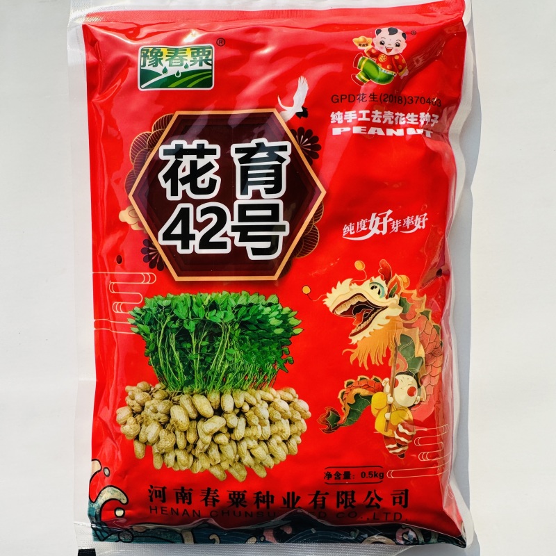 花育42花生种子大粒罗汉果手工脱壳精选高产抗病薄皮高油花
