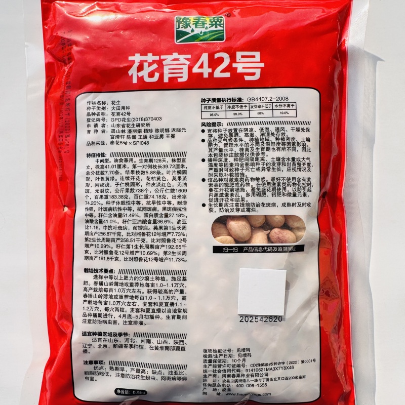花育42花生种子大粒罗汉果手工脱壳精选高产抗病薄皮高油花