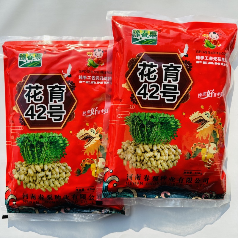 花育42花生种子大粒罗汉果手工脱壳精选高产抗病薄皮高油花