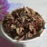 珍珠菜1公斤中药材狼尾草红根草狼尾巴花山高粱