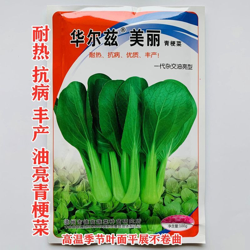 德高华尔兹美丽青梗菜种子优质丰产耐高温油亮青菜籽耐热蔬菜