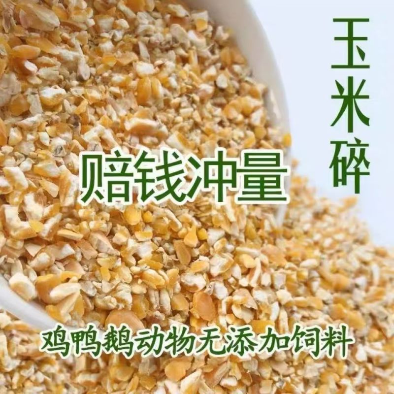 碎玉米净粮适用于牛羊鸡鸭鹅等