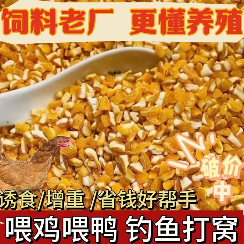 碎玉米净粮适用于牛羊鸡鸭鹅等