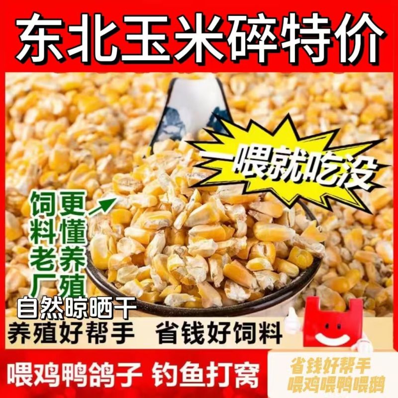 碎玉米净粮适用于牛羊鸡鸭鹅等