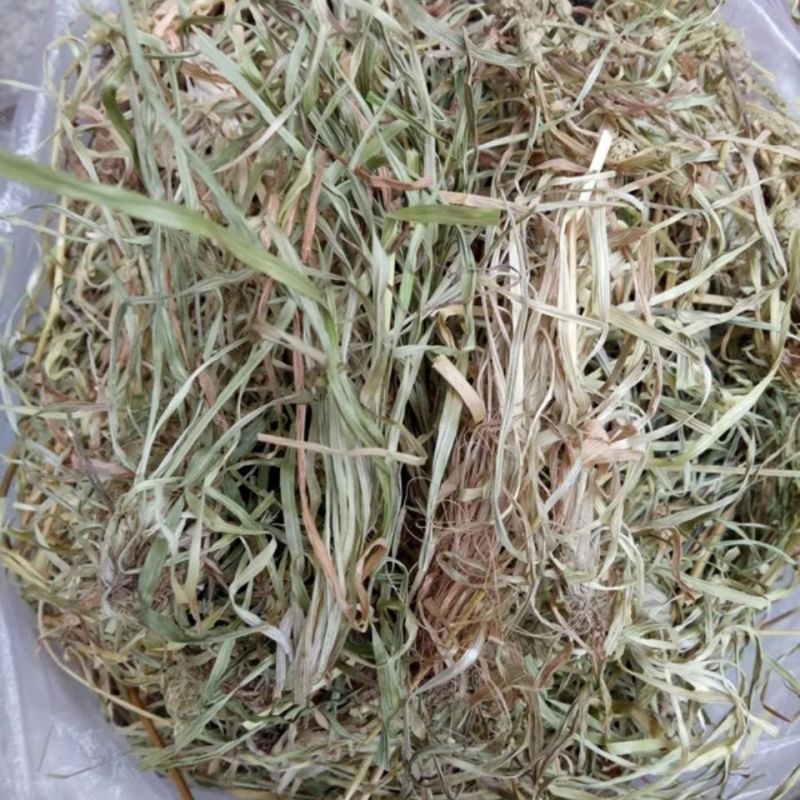 肺筋草1公斤中药材天然纯肺心草肺经草野生中草药
