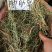 肺筋草1公斤中药材天然纯肺心草肺经草野生中草药