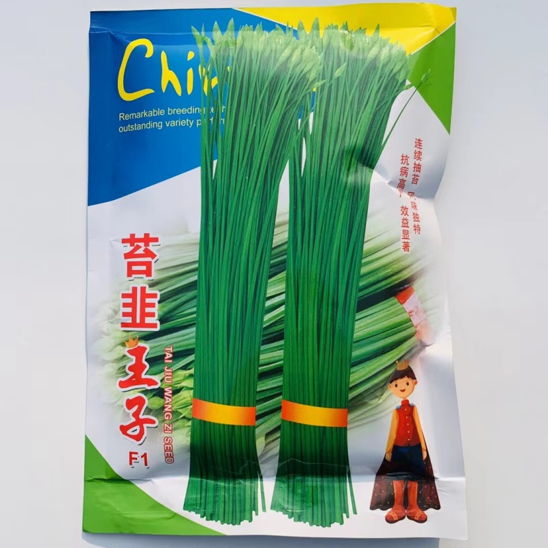 苔韭王子苔韭种子高产韭菜苔韭苔种籽孑四季播种盆栽庭院蔬菜