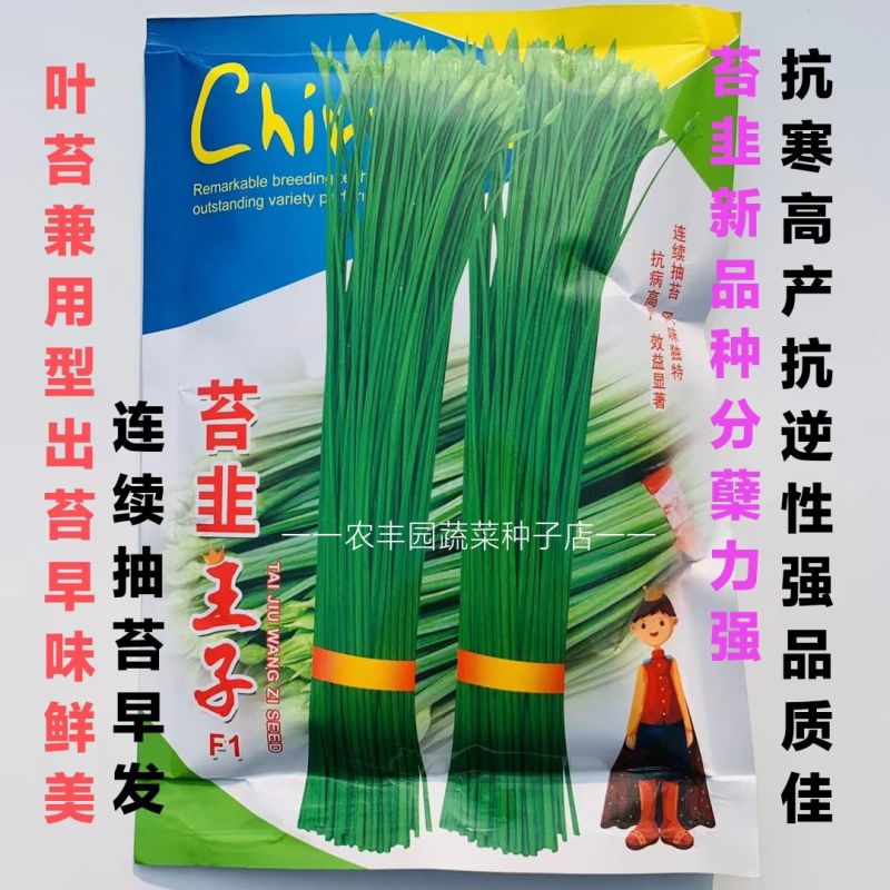 苔韭王子苔韭种子高产韭菜苔韭苔种籽孑四季播种盆栽庭院蔬菜