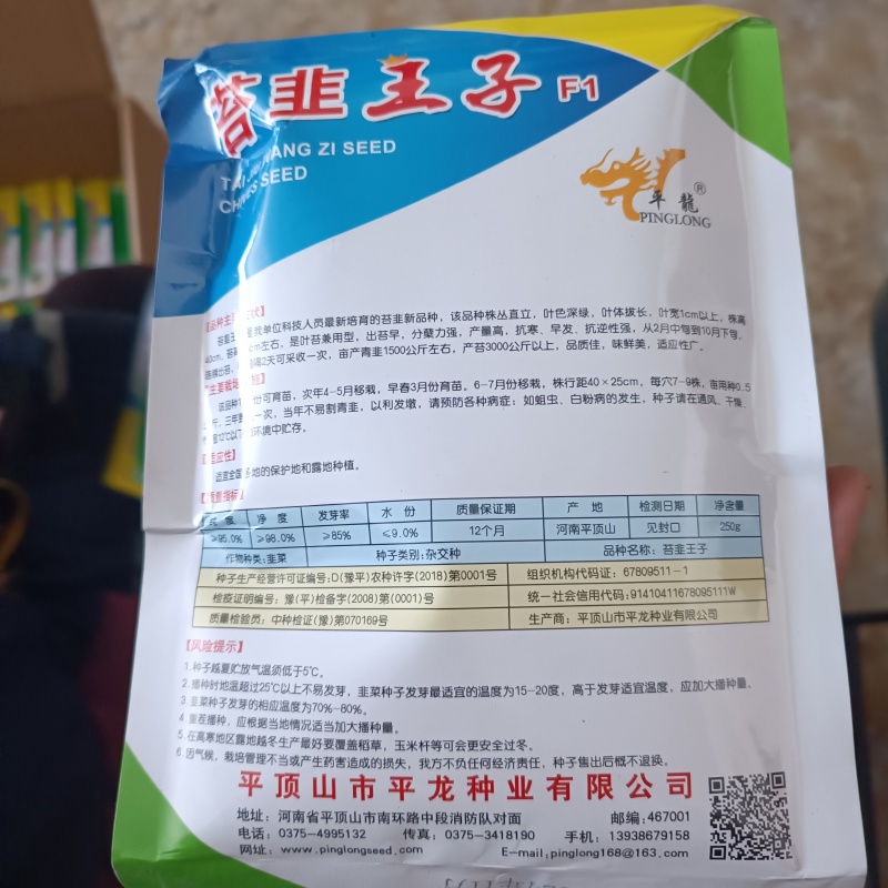 苔韭王子苔韭种子高产韭菜苔韭苔种籽孑四季播种盆栽庭院蔬菜