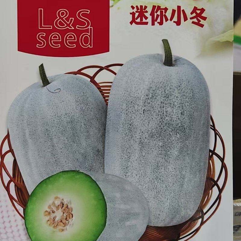 龙盛迷你小冬瓜种籽肉质翠绿口感清香高产抗病粉皮小冬瓜种子